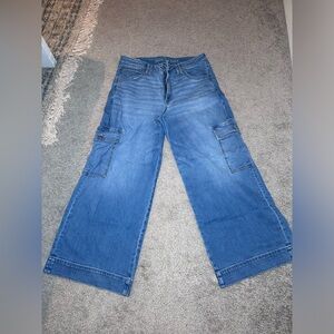 American Eagle baggy wide leg 12 x-short